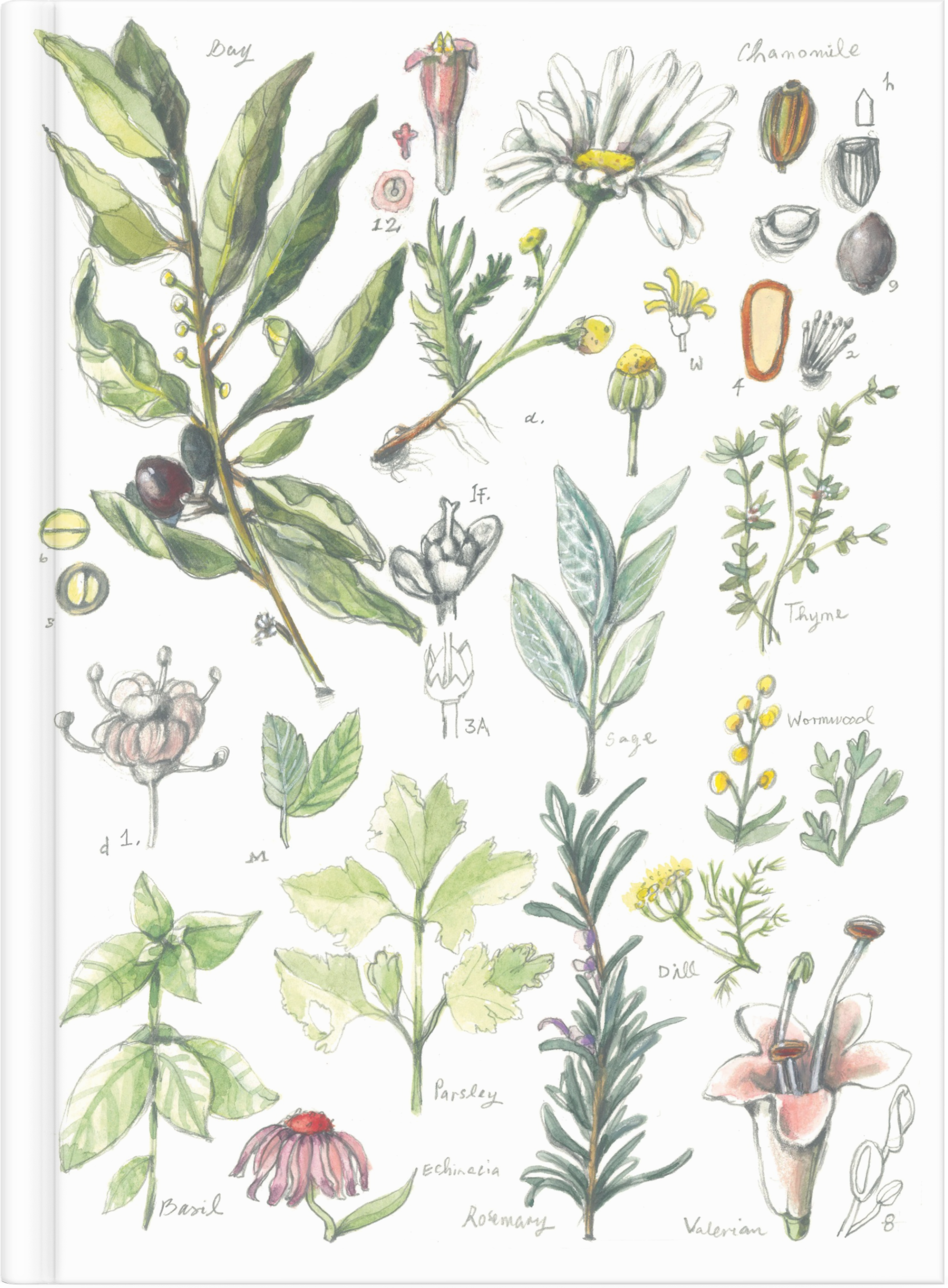 Herbs & Flowers Edit by Nuovo Group x Anna Pignataro