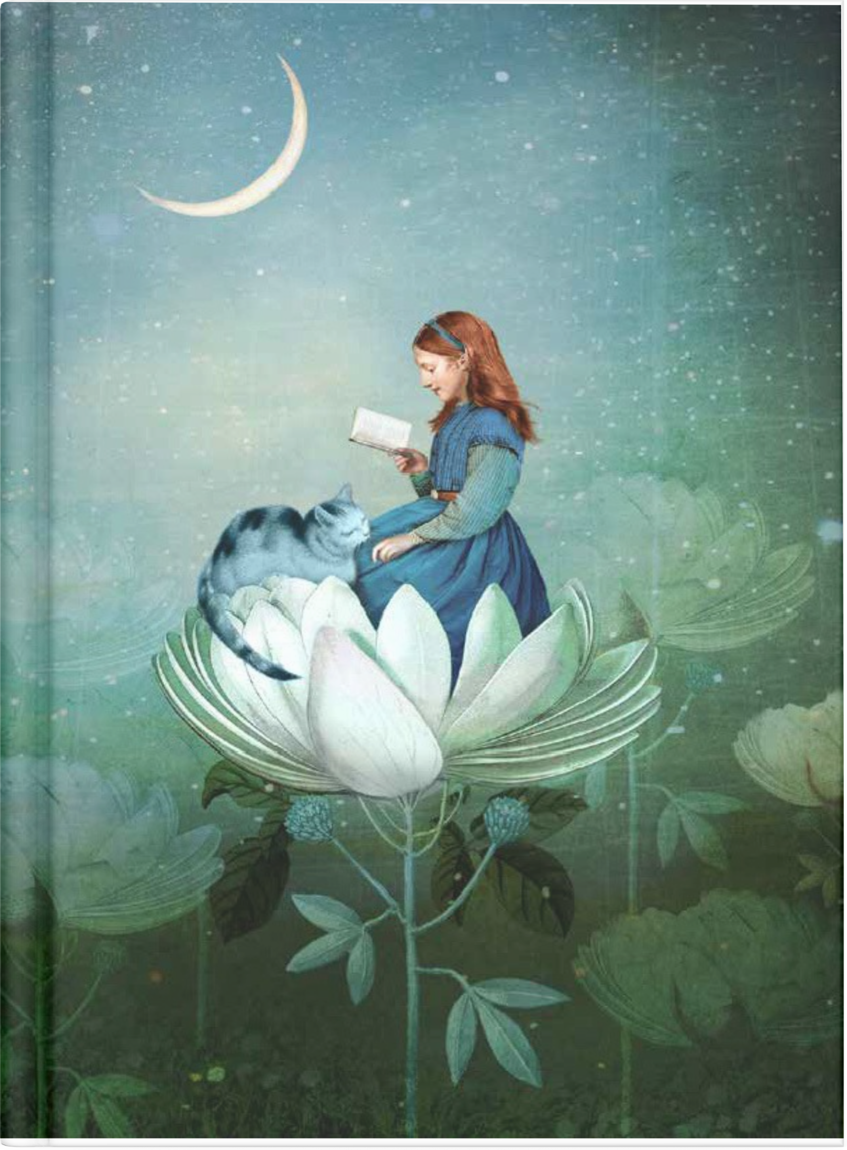 Cat & Girl Reading by Nuovo Group x Catrin Welz-Stein