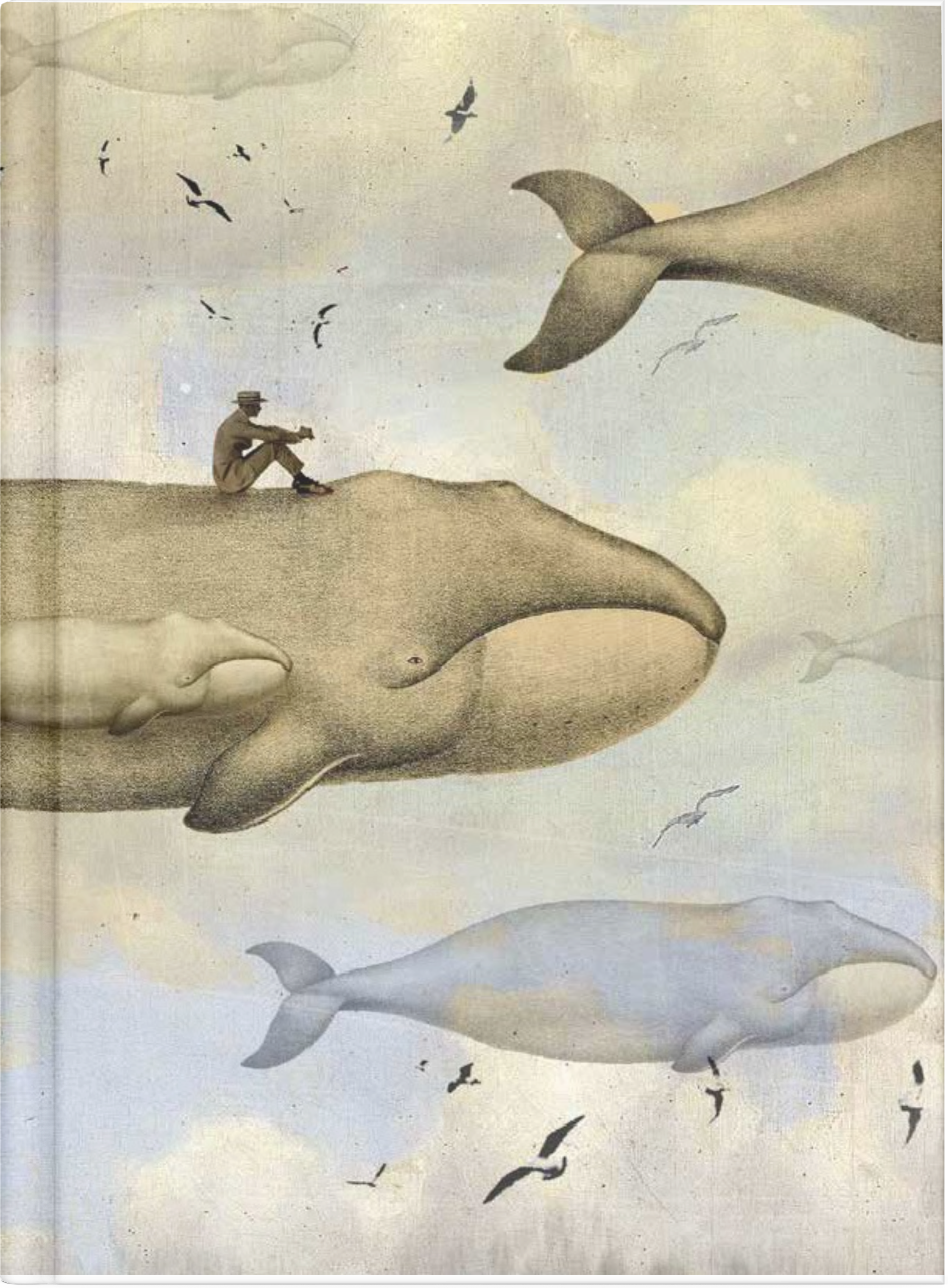Whales by Nuovo Group x Catrin Welz-Stein