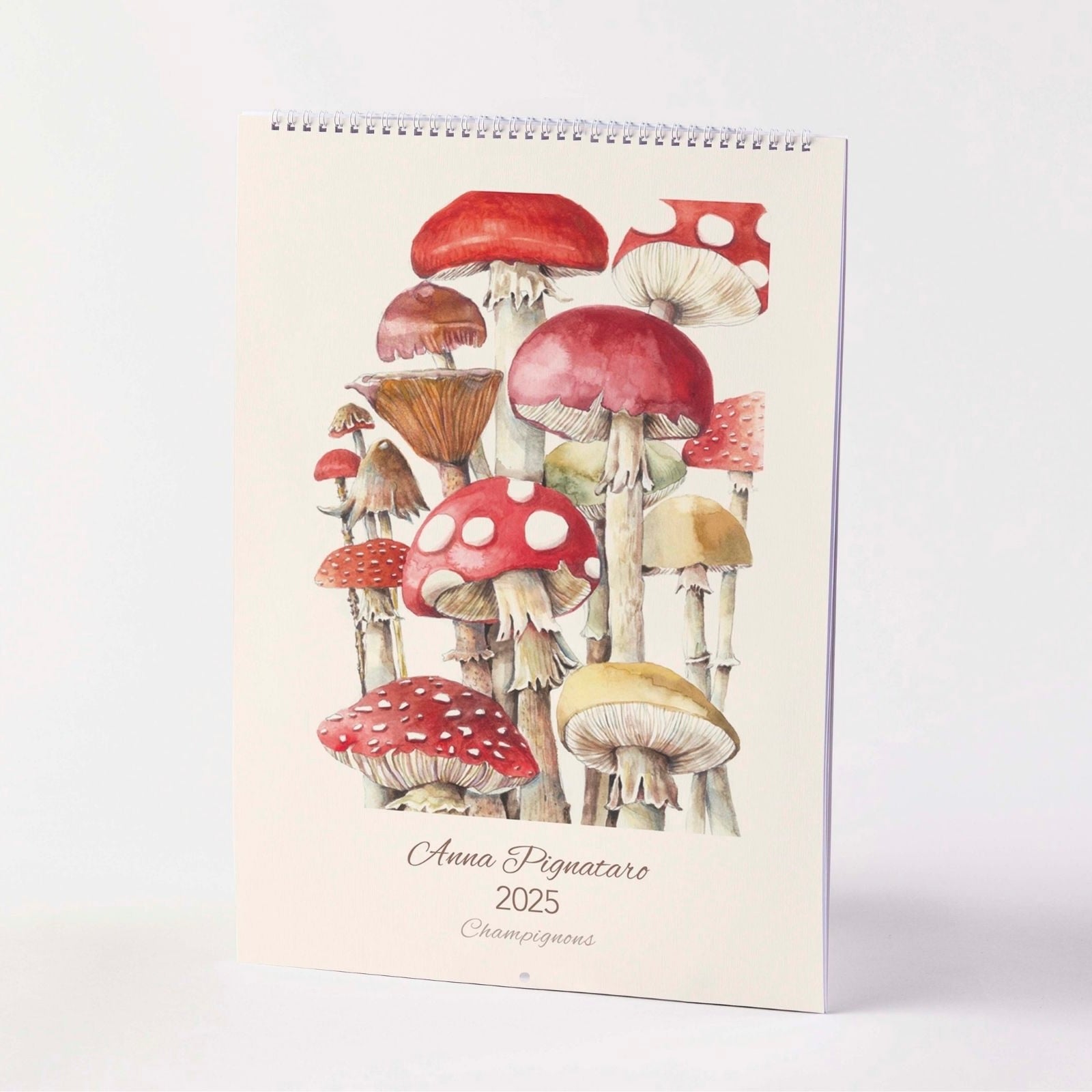 Champignons 2025 Calendar by Nuovo Group x Anna Pignataro
