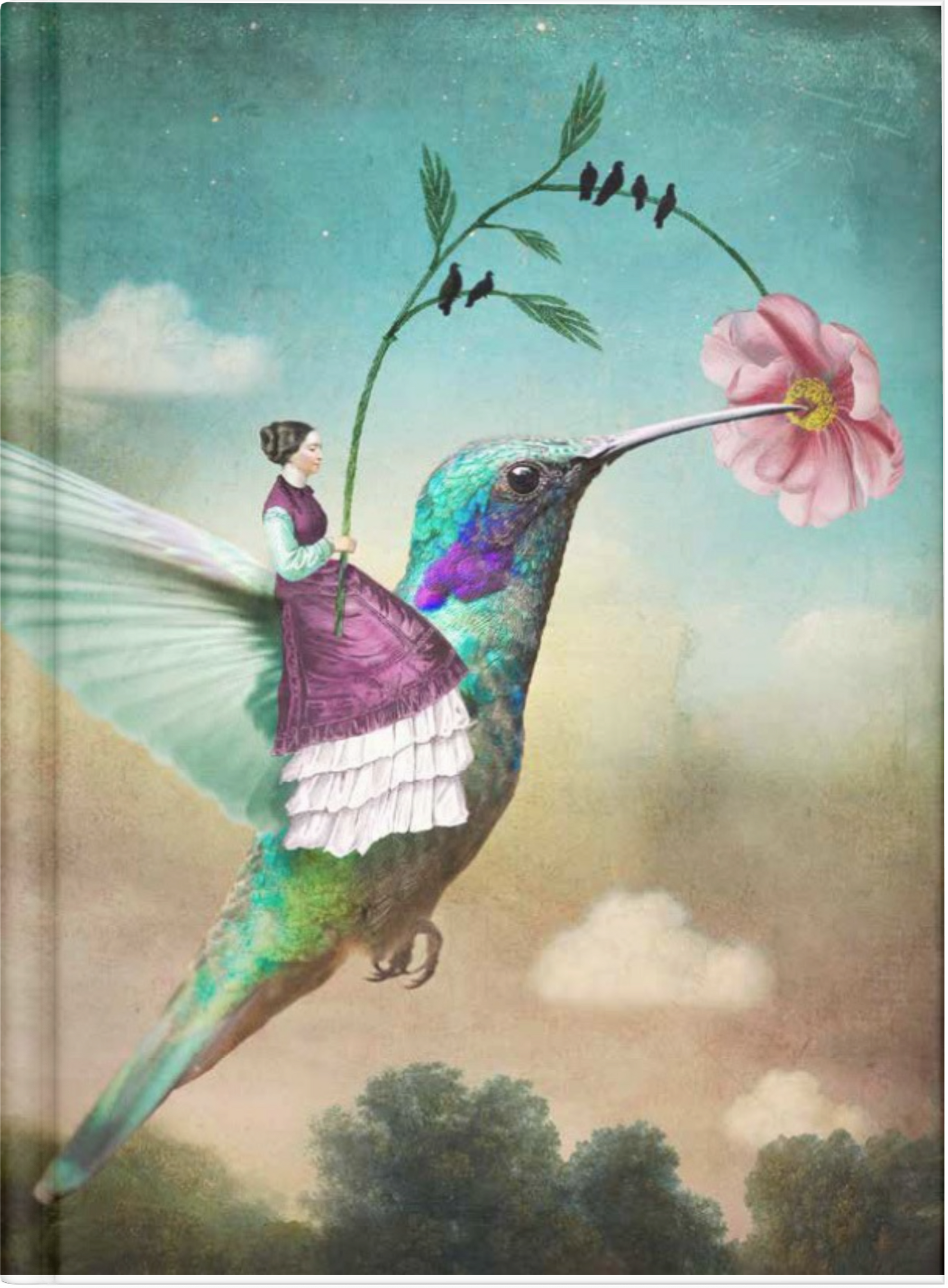 Hummingbird by Nuovo Group x Catrin Welz-Stein