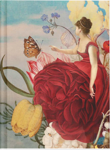 Rose & Butterfly by Nuovo Group x Catrin Welz-Stein