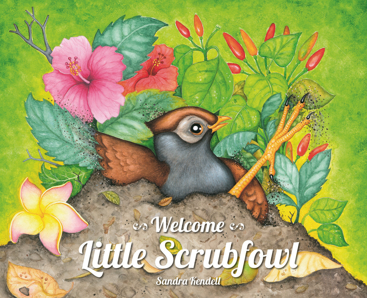 Welcome Little ScrubFowl