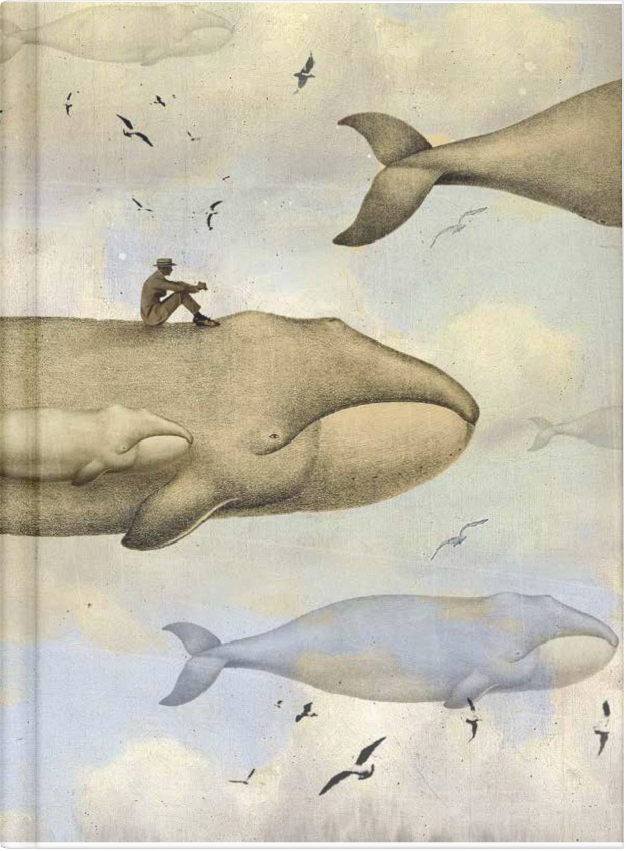 Whales by Nuovo Group x Catrin Welz-Stein