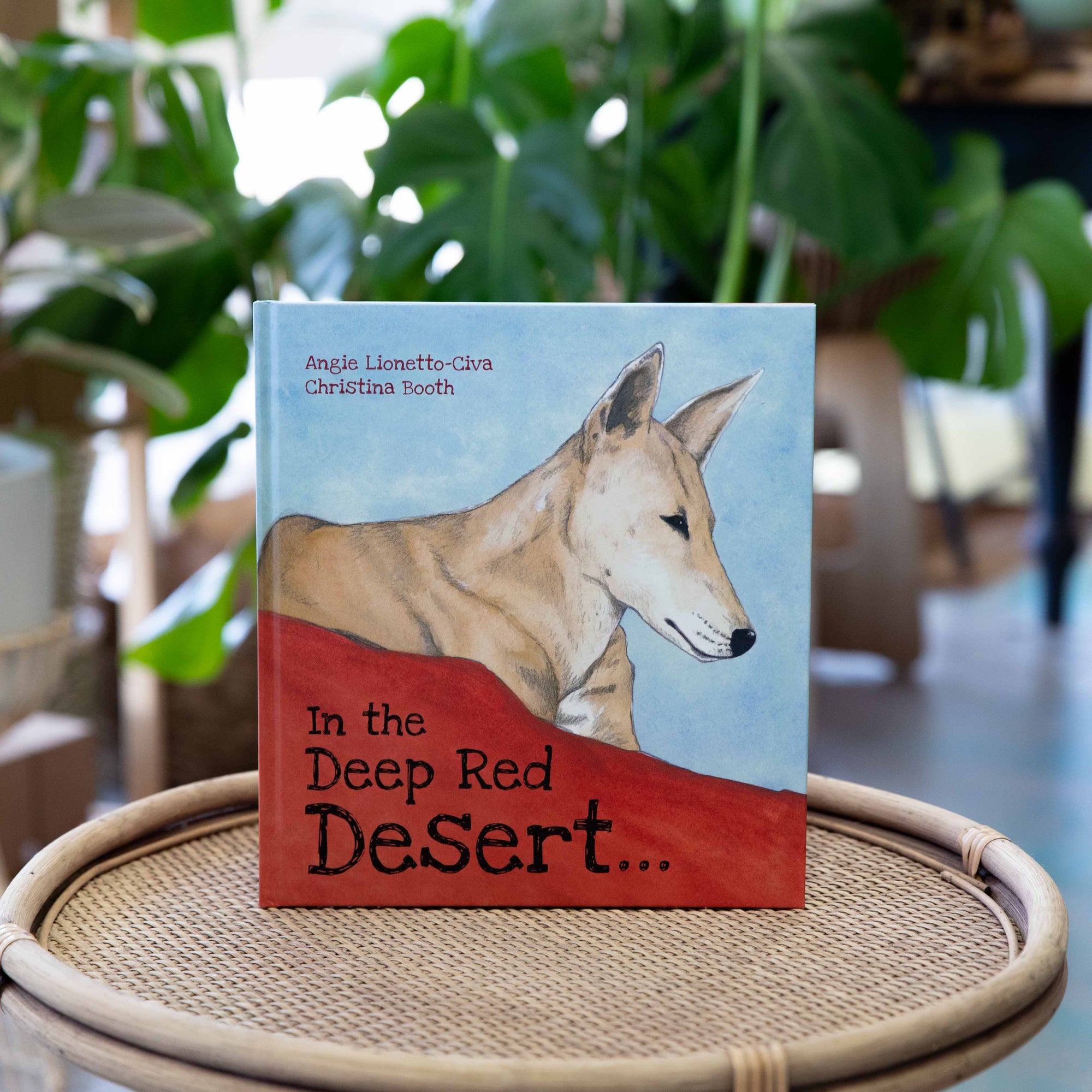 In the Deep Red Desert